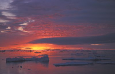 Pack ice sunset Fosterbrugt