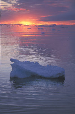 Growler sunset Svalbard
