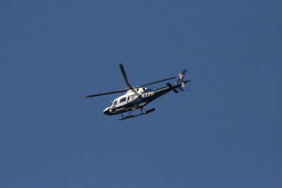NYPD above