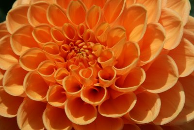 Beauties of Nature