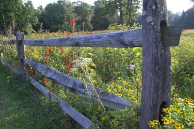 Pennsylvania Fence