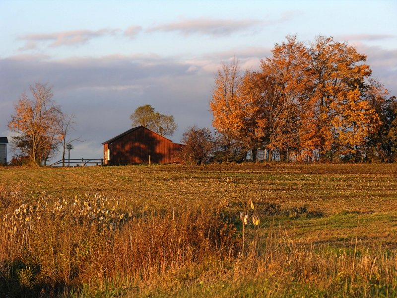 Barn in the Fall Near Mt. Morris, NY