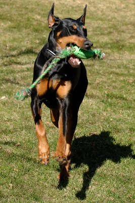 Lola Running with Green Toy
