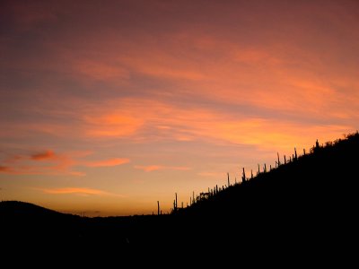 Ridge line at Sunset ,Tucson AZ