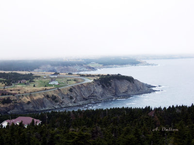 Outer Cove