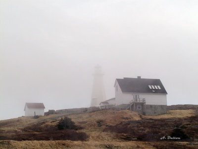 The Lighthouse ~ Cape Spear, Newfoundland