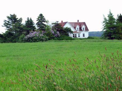 Across The Field