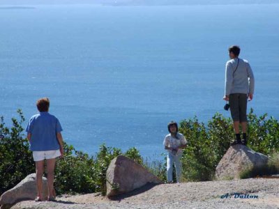 Much To See ~ Cape Breton Island