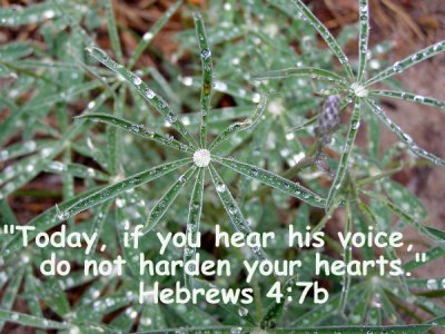 Hebrews 4:7b
