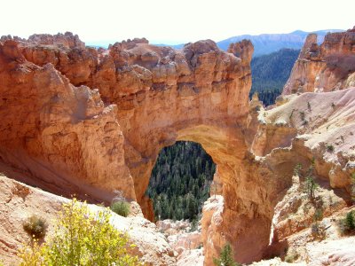 The Natural Bridge