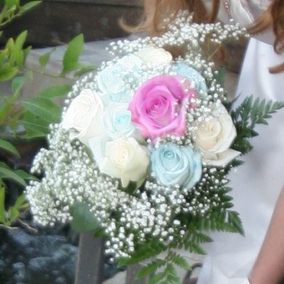 IMG_3554_crop.jpg