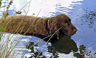 Bradley in reflective mood