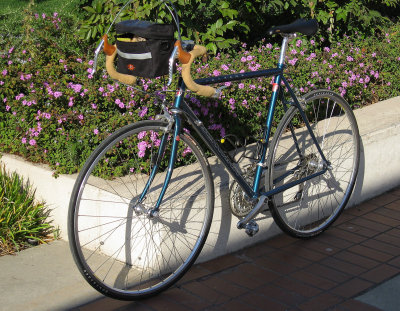 Schwinn Passage