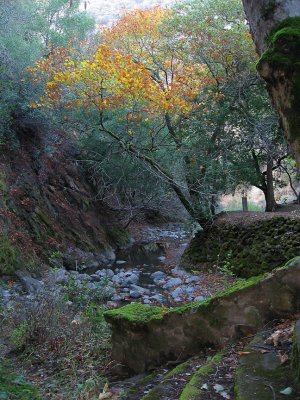 Alum Rock Park - San Jose