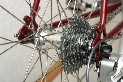 Rear XT HB-737 Hub & HG 12-25 Cassette