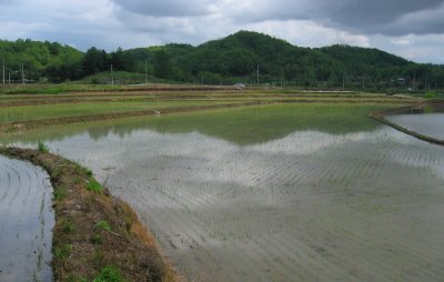 g6/15/198315/3/79004529.XW969yQQ.jpg