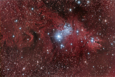 NGC2264 - 'Cone Nebula' in Monoceros