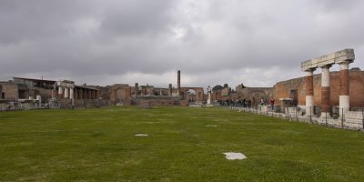 IMG_1895.jpg