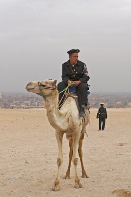 IMG_2141.jpg