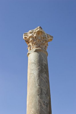 IMG_2254.jpg