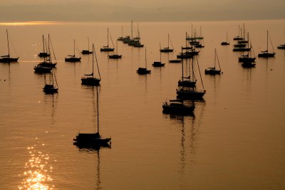 g6/15/238515/3/82508195.1V8M8eQ3.jpg