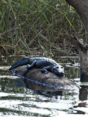 Belize_DSC_7293e.jpg