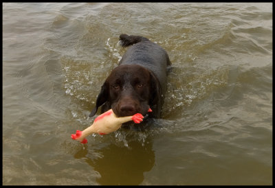 Bosco-at-the-Lake.3.jpg