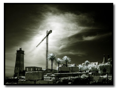 The Crane and The Lighthouse.jpg