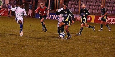 IMG_9524.jpg