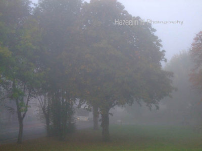 One misty day in autumn