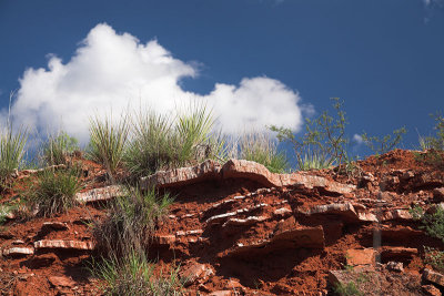 wash rim