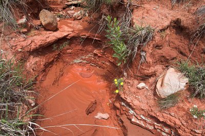 red mud