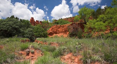 terrain