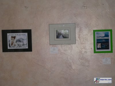 P1250092.jpg