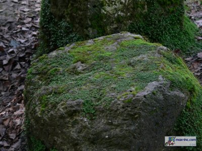 P1250531.jpg