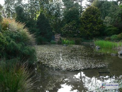 P1250534.jpg