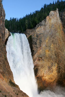 Canyon - Yellowstone River's Lower Falls
