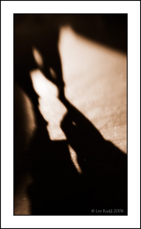 Shadowy
