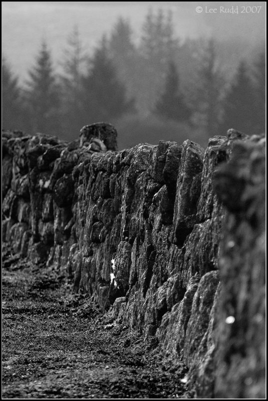 Country Walls