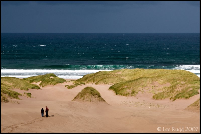 Amongst the Dunes