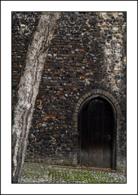 Tree, Wall, Door
