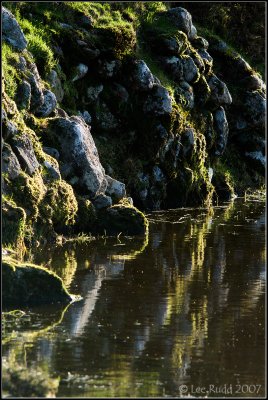 Reflections at Big Puddle