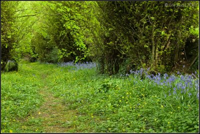 Pathway