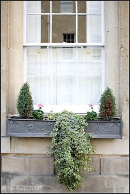 Window Box