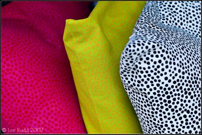 Seeing Spots
