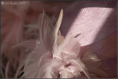 Pretty in Pink