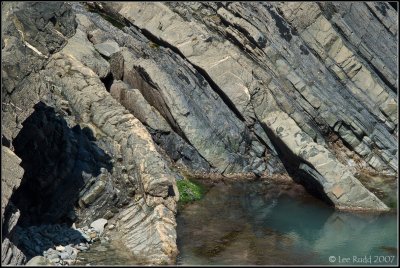 Rock Pool