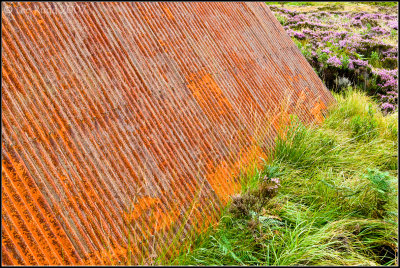 Uplifted Roof