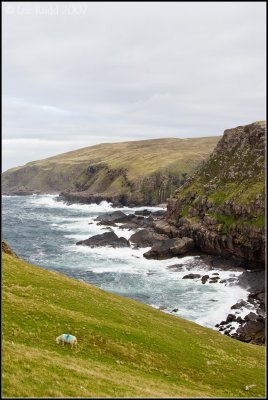 Grazing on the Edge