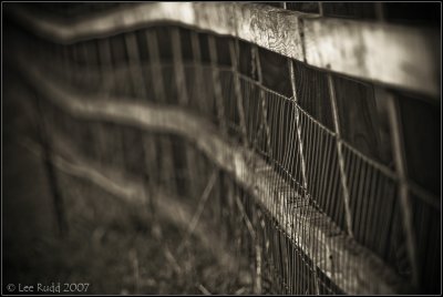 On The Fence